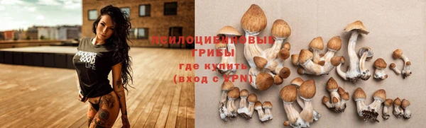 спайс Вязники