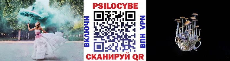 KRAKEN ссылки  Исилькуль  Галлюциногенные грибы мицелий 
